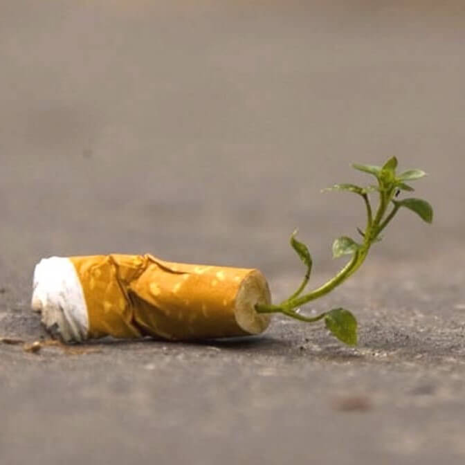 Отравление планеты – как табак влияет на нашу окружающую среду