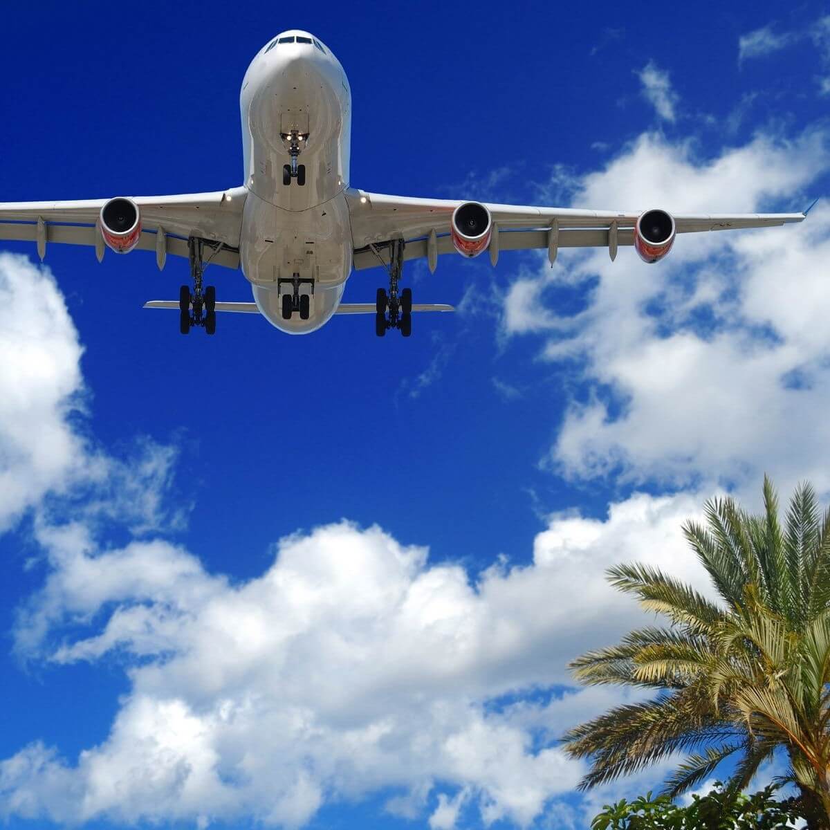 Права потребителя в случае отмены рейса и отказе авиакомпании в возврате денег за билет